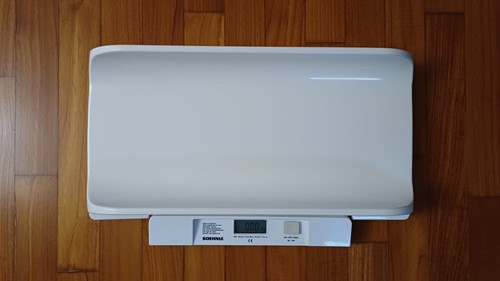 Bilancia elettronica per